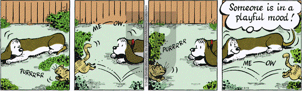 Fred Basset on Thursday August 19, 2021 Comic Strip