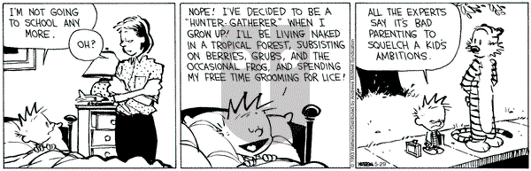 Calvin and Hobbes - Monday May 29, 2023 Comic Strip