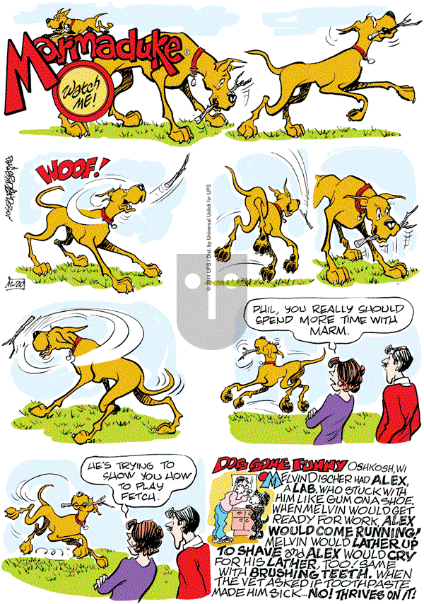 Marmaduke on Sunday November 20, 2011 Comic Strip