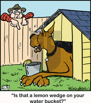 Marmaduke on Monday October 19, 2015 Comic Strip