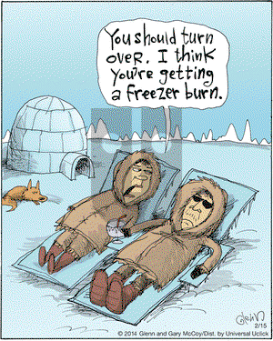 The Flying McCoys on Saturday February 15, 2014 Comic Strip