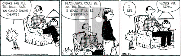 Calvin and Hobbes - Wednesday March 8, 1995 Comic Strip