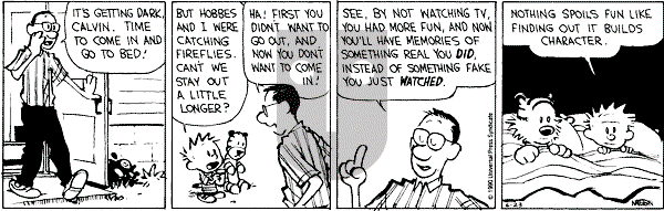 Calvin and Hobbes - Saturday June 23, 1990 Comic Strip