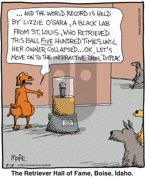 In the Bleachers on Wednesday August 18, 2004 Comic Strip