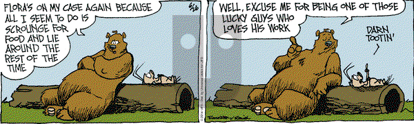 The Grizzwells on Thursday June 26, 2014 Comic Strip