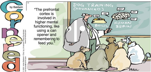 Cornered on Sunday April 8, 2001 Comic Strip