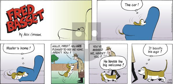Fred Basset - Sunday May 26, 2024 Comic Strip