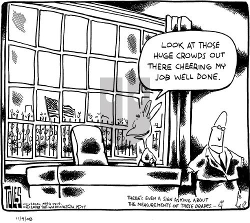 Tom Toles on Sunday November 9, 2008 Comic Strip