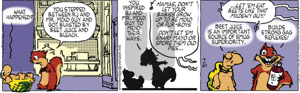 Over the Hedge on Saturday July 21, 2012 Comic Strip