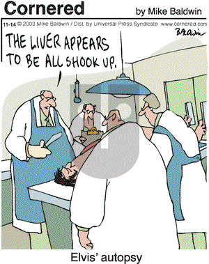 Cornered - Friday November 14, 2003 Comic Strip