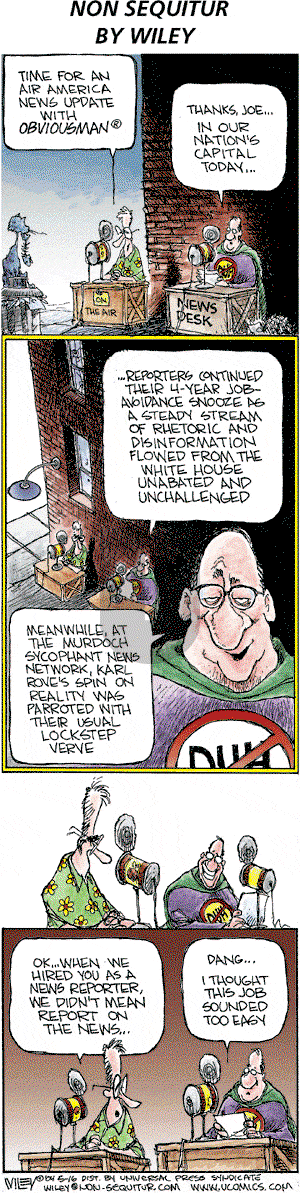 Non Sequitur on Sunday May 16, 2004 Comic Strip