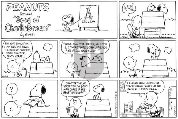 Peanuts on Sunday April 26, 1981 Comic Strip