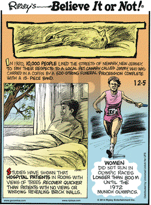 Ripley's Believe It or Not - Friday December 5, 2014 Comic Strip
