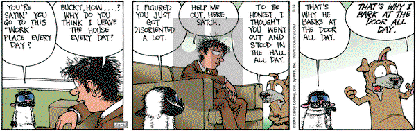 Get Fuzzy on Tuesday September 14, 2010 Comic Strip