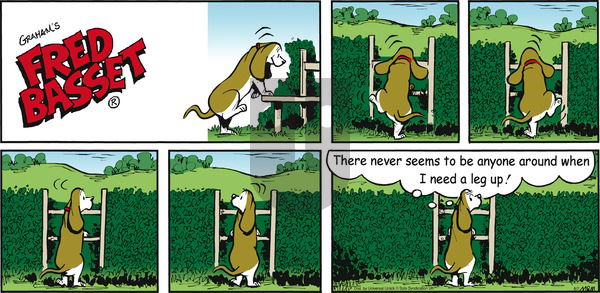 Fred Basset - Sunday June 7, 2015 Comic Strip