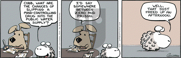 DeFlocked on Thursday May 22, 2008 Comic Strip