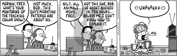 Pearls Before Swine on Thursday November 6, 2008 Comic Strip