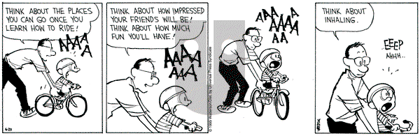 Calvin and Hobbes on Friday June 23, 1995 Comic Strip