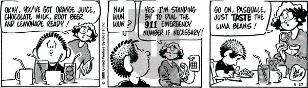 Rose is Rose on Friday May 27, 1988 Comic Strip