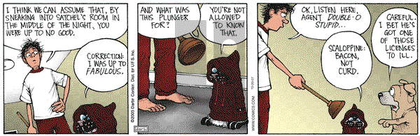 Get Fuzzy on Thursday December 20, 2007 Comic Strip