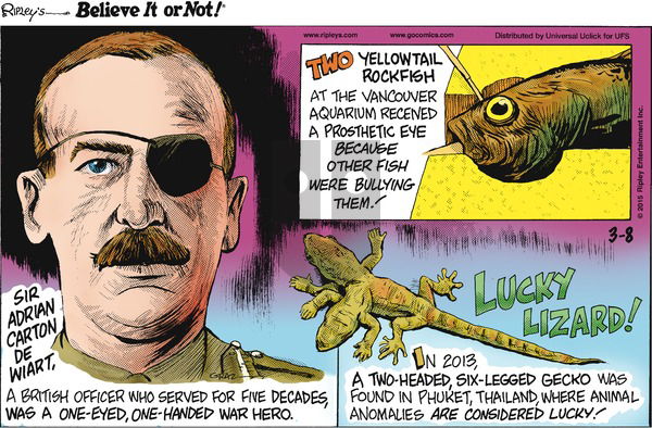 Ripley's Believe It or Not on Sunday March 8, 2015 Comic Strip
