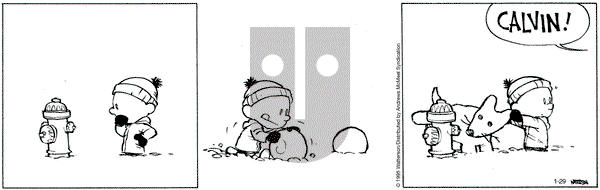 Calvin and Hobbes on Wednesday January 29, 2025 Comic Strip