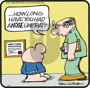 Ziggy on Tuesday December 4, 2012 Comic Strip