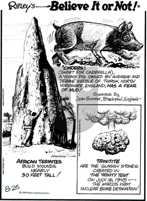 Ripley's Believe It or Not - Monday August 25, 2008 Comic Strip