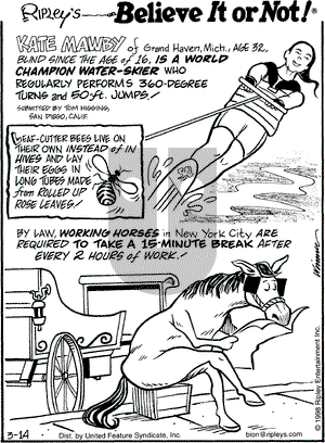 Ripley's Believe It or Not - Saturday March 14, 1998 Comic Strip