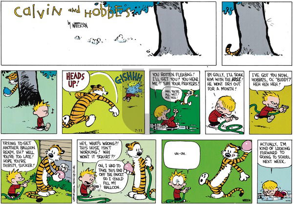 Calvin and Hobbes on Sunday August 27, 1989 Comic Strip