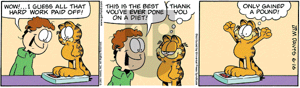 Garfield on Saturday June 16, 2007 Comic Strip