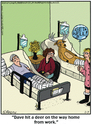 Close to Home on Wednesday February 7, 2024 Comic Strip