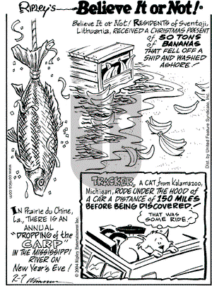Ripley's Believe It or Not on Saturday February 7, 2004 Comic Strip