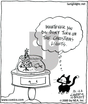 Kit 'N' Carlyle on Friday December 22, 2000 Comic Strip