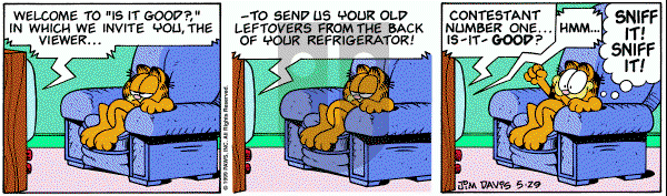 Garfield on Saturday May 29, 1999 Comic Strip
