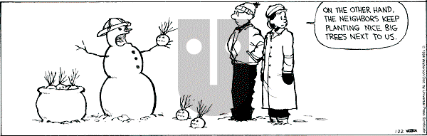 Calvin and Hobbes - Saturday January 22, 1994 Comic Strip