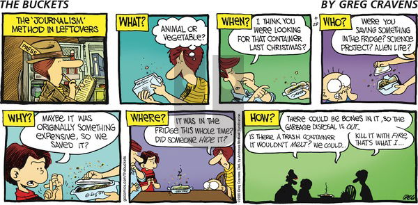 The Buckets on Sunday June 28, 2020 Comic Strip