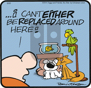 Ziggy on Thursday March 20, 2014 Comic Strip