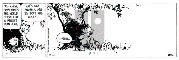 Calvin and Hobbes on Thursday September 21, 1989 Comic Strip