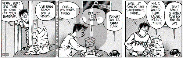 Get Fuzzy on Saturday December 29, 2001 Comic Strip