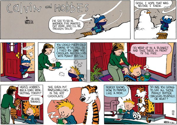 Calvin and Hobbes on Sunday January 17, 1988 Comic Strip