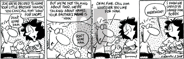 Baby Blues on Monday May 22, 1995 Comic Strip