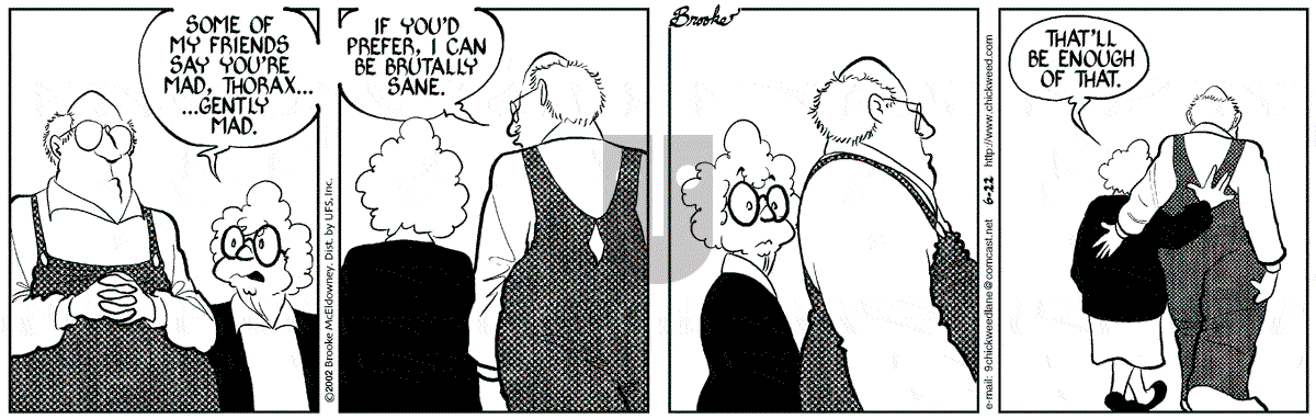 9 Chickweed Lane - Saturday June 22, 2002 Comic Strip