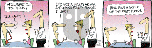 The Duplex on Wednesday November 20, 2019 Comic Strip