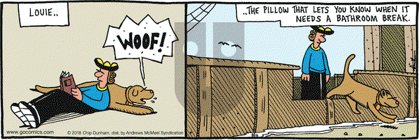 Overboard on Saturday August 11, 2018 Comic Strip