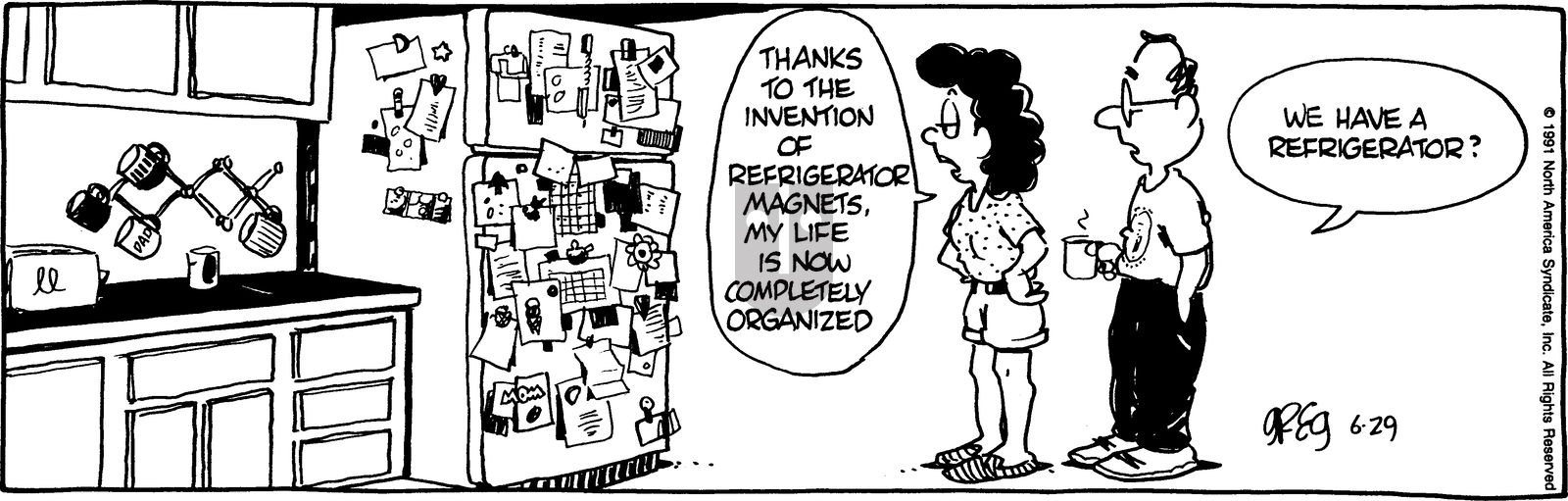 Luann - Saturday June 29, 1991 Comic Strip