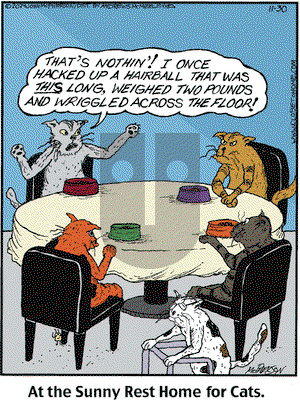 Close to Home - Saturday November 30, 2024 Comic Strip