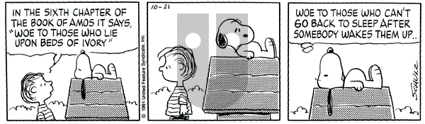 Peanuts on Monday October 21, 1991 Comic Strip