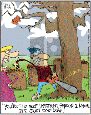 The Flying McCoys on Friday December 13, 2019 Comic Strip