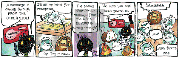 Breaking Cat News on Friday October 30, 2020 Comic Strip